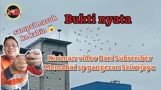 Bukti kiriman video dari Subscriber  diwilayah yang berbeda memakai sp pangeran sriwijaya Andi sufar