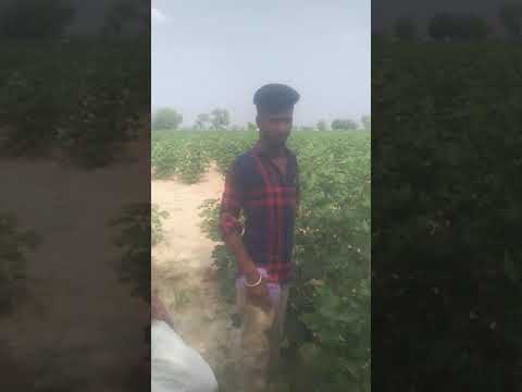 9 अगस्त 2021