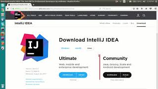2 .Downloading IntelliJ IDEA(LINUX SETUP) screenshot 5