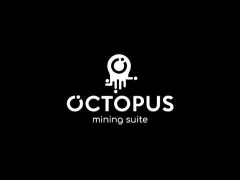 Octopus Autonomous Setting Demo