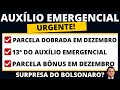 DEZEMBRO: 13º DO AUXÍLIO EMERGENCIAL - PARCELA DOBRADA I PARCELA EXTRA I  - SURPRESA DE BOLSONARO?