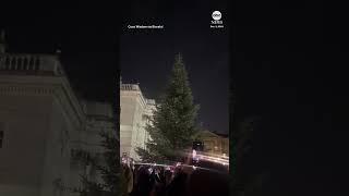 Crowd disappointed at Christmas tree-lighting countdown fail - ABC News