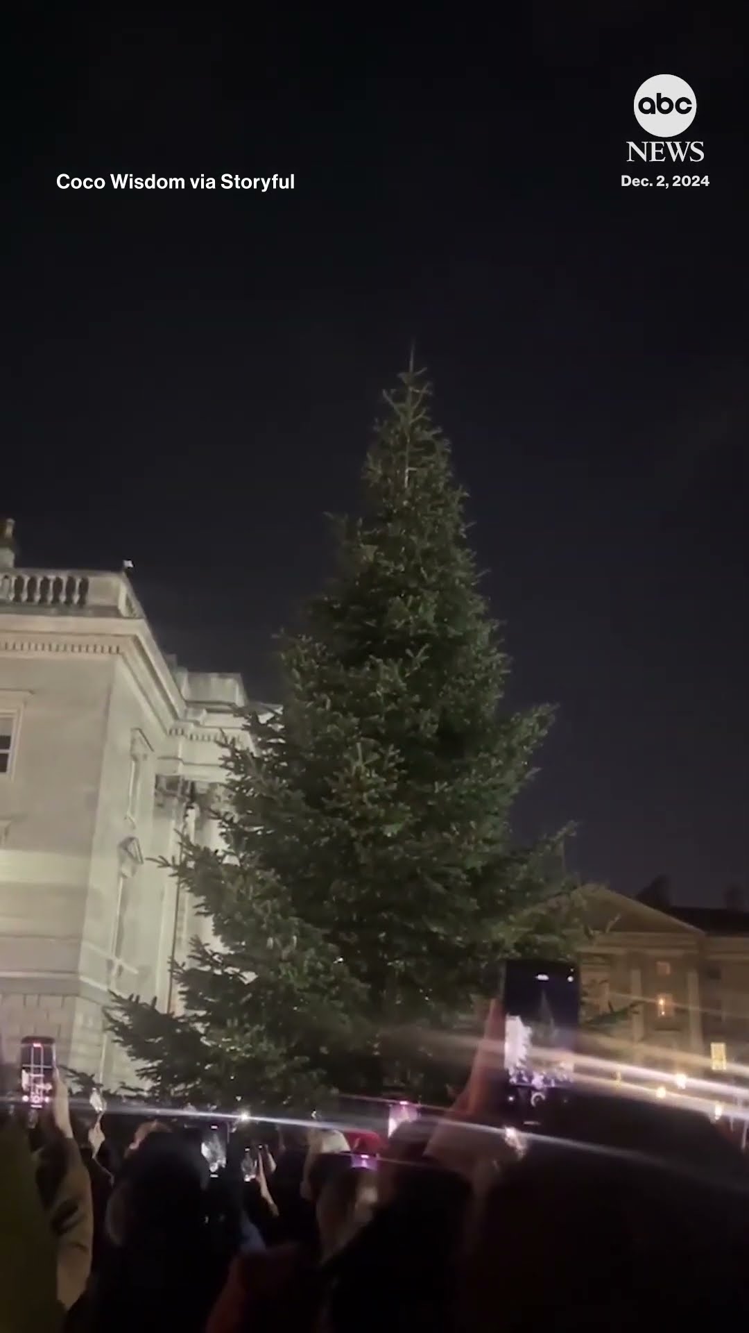 Crowd disappointed at Christmas tree-lighting countdown fail - ABC News