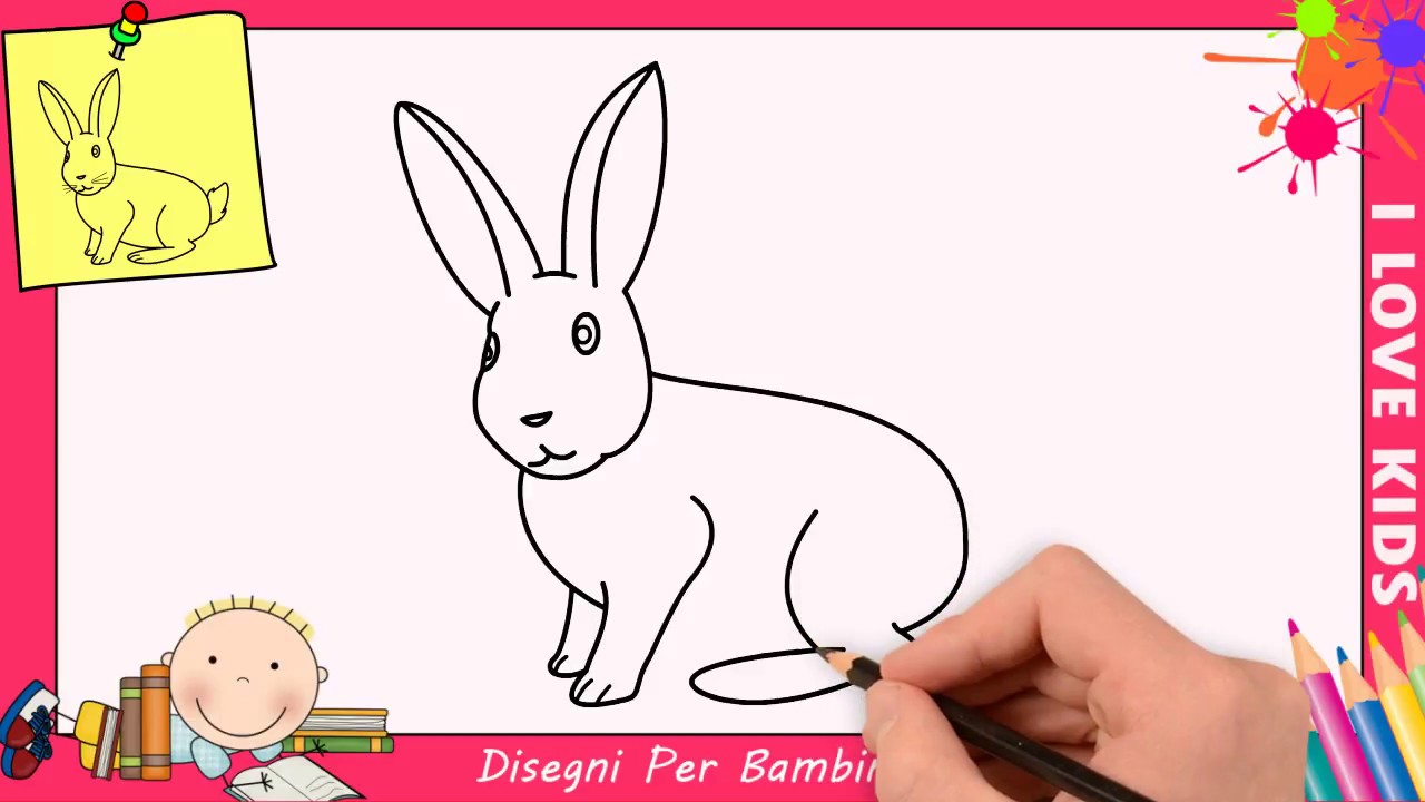 Come Disegnare Un Coniglio Facile Passo Per Passo Per Bambini 6