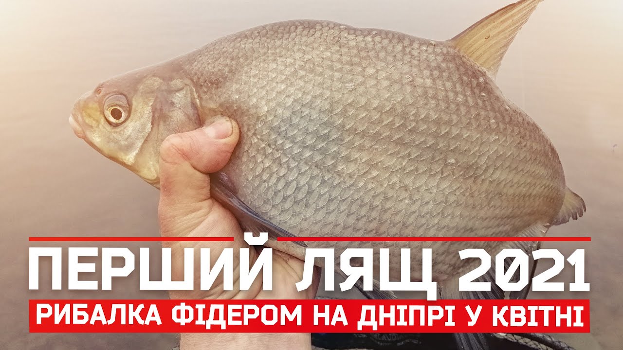 Фідерна ловля на Дніпрі в квітні 2021