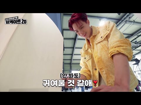 [NCTDREAM] 드림이들의 원픽 5살 이태용