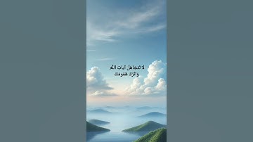 سورة هود بصوت ياسر الدوسري #قران #قرآن #الله  #yasseraldossary #تلاوات #quran #اكسبلور #islam