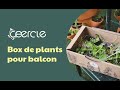 La box de jeunes plants franais bio ceercle 