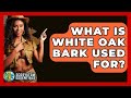 What Is White Oak Bark Used For? - Ecosystem Essentials