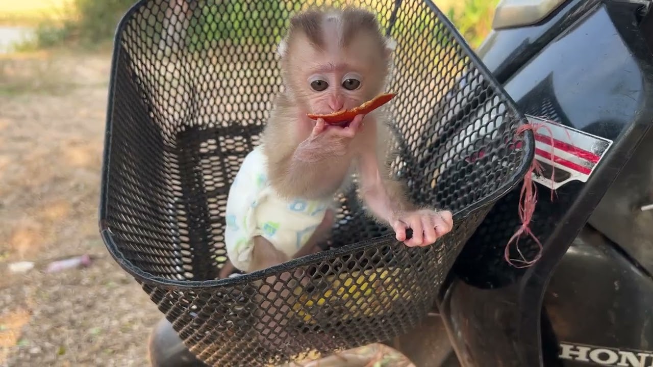 Relaxing Day .....................🤪🤪