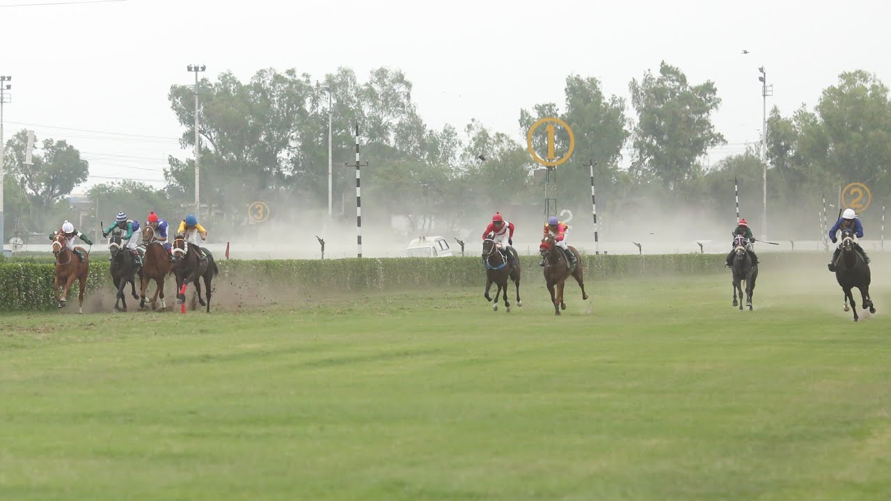 7th Race The Pakistan Day Cup Distance 1200 Meters Winner Talent ...