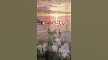 سورة الزخرف الاية (68-70) - ياسر الدوسري #قرآن #القرآن_الكريم#ياسر_الدوسري #سورة_الزخرف