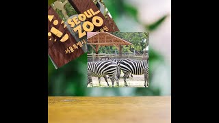 Seoul Grand Park Zoo Vlog-Travel In South Korea 서울대공원