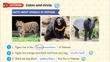 Theme 3 lesson 5 grade 4 Smart start | tiếng Anh 4