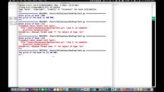 23. User Input & String Formatting (Burmese)