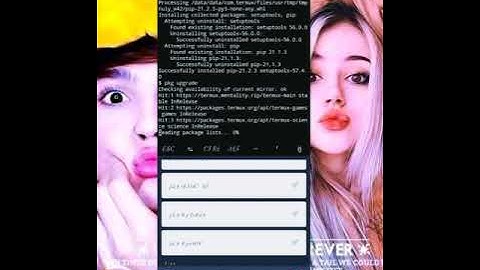 Termux commands without login