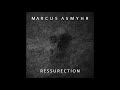 Marcus Asmyhr - The Fire (premix teaser)