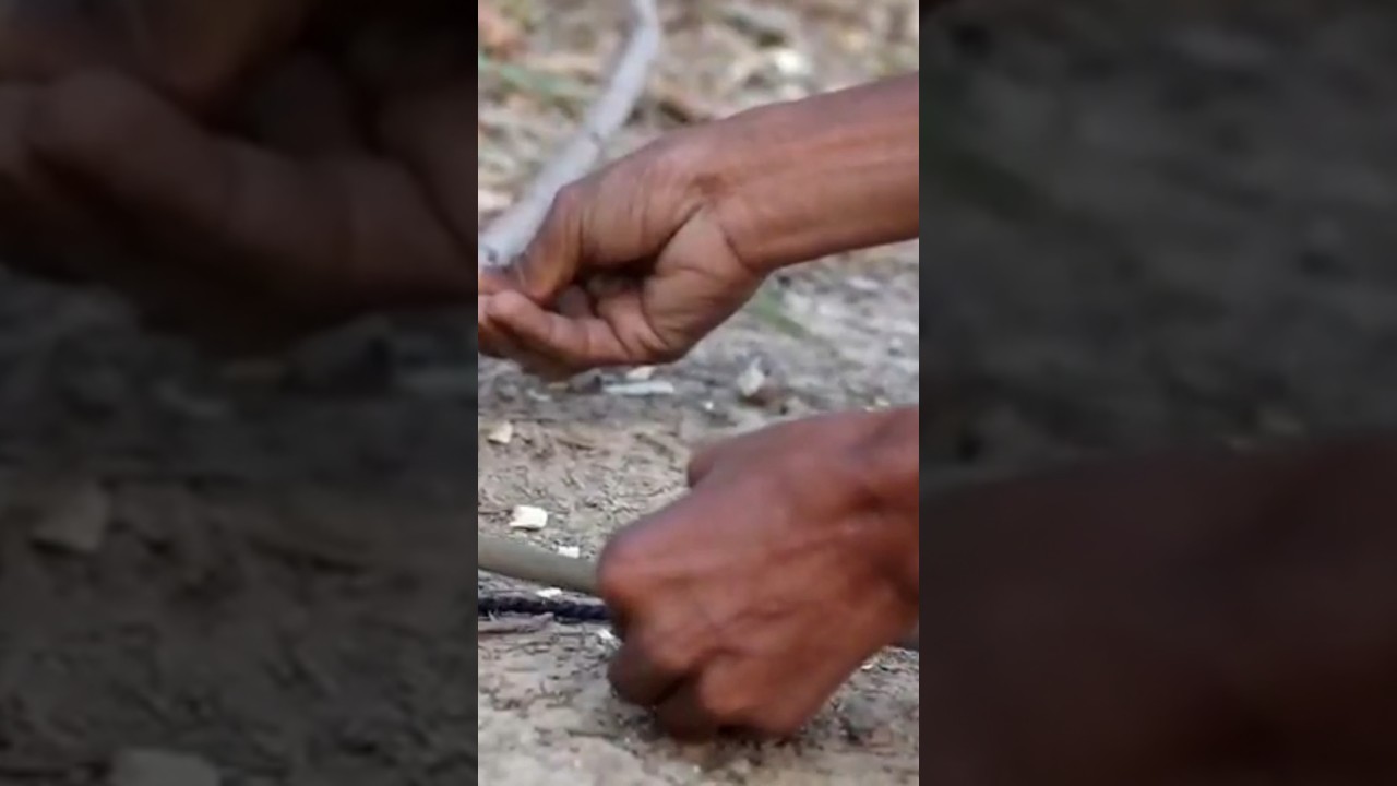 You Won’t Believe What Happens in 20 Seconds 😱 | Satisfying Skill” 