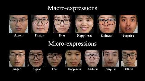 Video-based Facial Micro-Expression Analysis