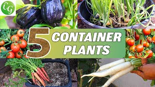 top 5 best vegetable plants for a bountiful container garden: tomatoes, garlic & more!