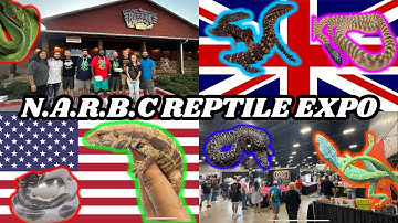 BRIT visits BEST NARBC Reptile Show in America! | 2023 Walkthrough Part 1