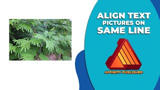 How to align text and Pictures on the same line in Affinity publisher