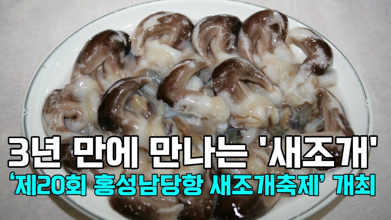 [천안TV 뉴스] 3년 만에 만나는 '새조개'... ‘제20회 홍성남당항 새조개축제’ 개최 - YouTube