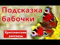 Подсказка бабочки - ИНТЕРЕСНЫЙ ХРИСТИАНСКИЙ РАССКАЗ | Христианские рассказы #рассказы