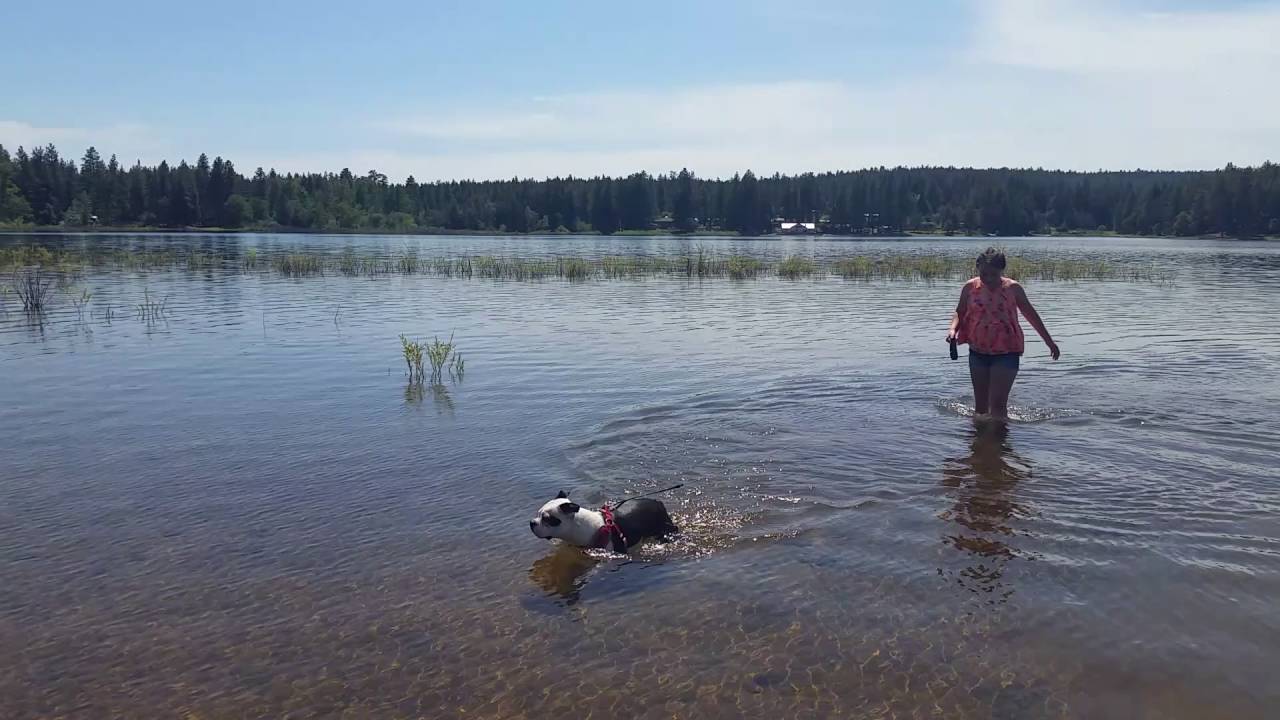 05302016 Rock Creek Reservoir YouTube