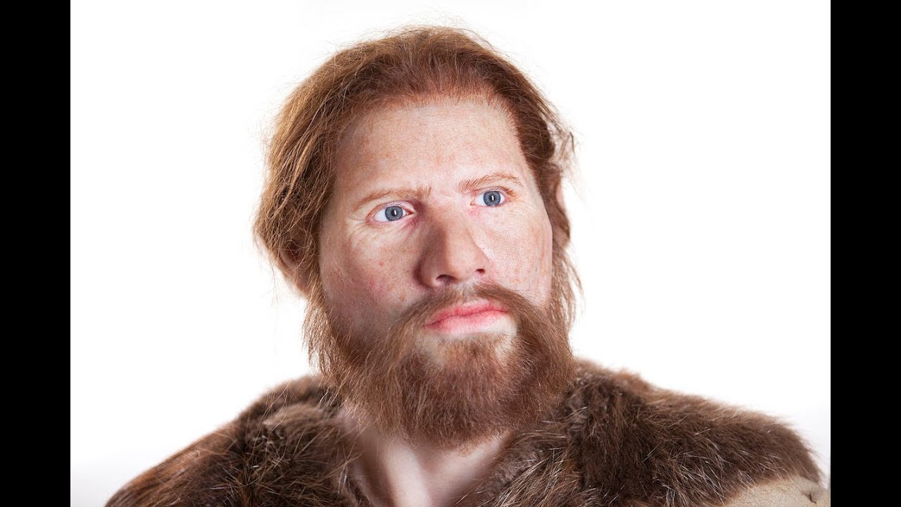 مرحلة الانسان العاقل من تطور الانسان Homo Sapiens'Wise man' #Human #