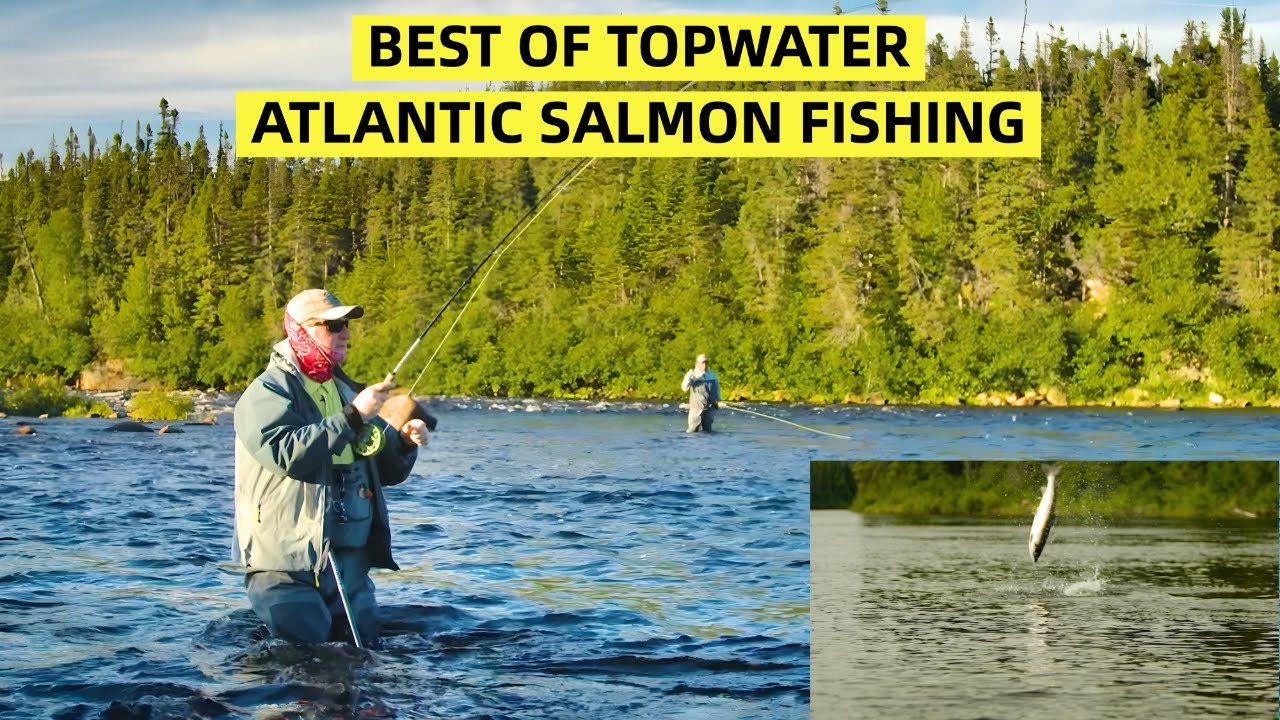 The Very Best Of Atlantic Salmon In Newfoundland & Labrador 