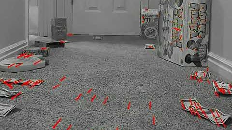 Optical Flow Using Template Matching with Fundamental Matrix Inliers