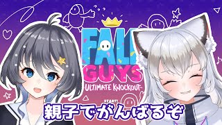 【Fallguys】親子で落ちないでいけるかな・・・？【小純マアメさん】