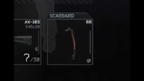 I found a Red Rebel on Shturman