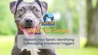 Reclaim Your Spark: Identifying & Managing Emotional Triggers