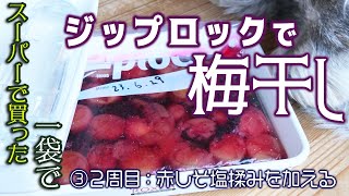 【ジップロックで梅干し】③２週間目：スーパーで赤しそをやっと見つけて、塩揉みして入れた！〜南高梅１袋（1kg）を漬けてみた by あさりおん 3,071 views 9 months ago 8 minutes, 32 seconds