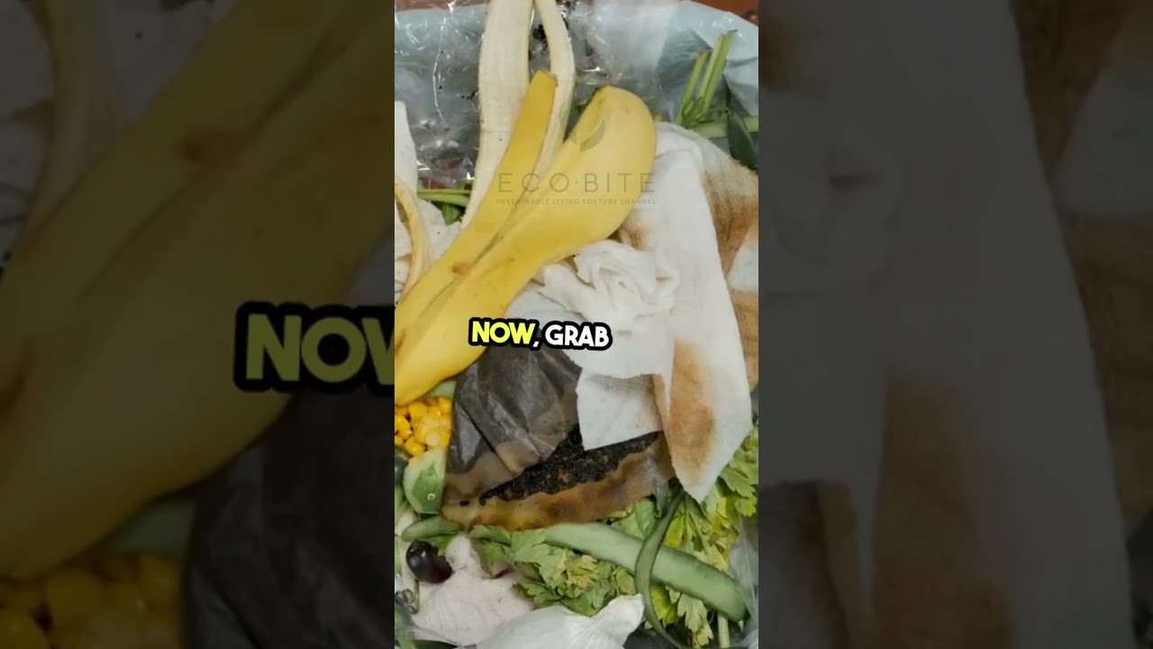 Quick Guide  Composting for Beginners!  