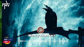 Crow sound effect free | copyright crow sound effect | crow sound | free music vander. screenshot 2