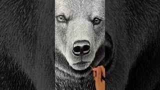 Realistic Painting of the Bear , grisaille technique #art #painting #realism #animal #bear #wildlife