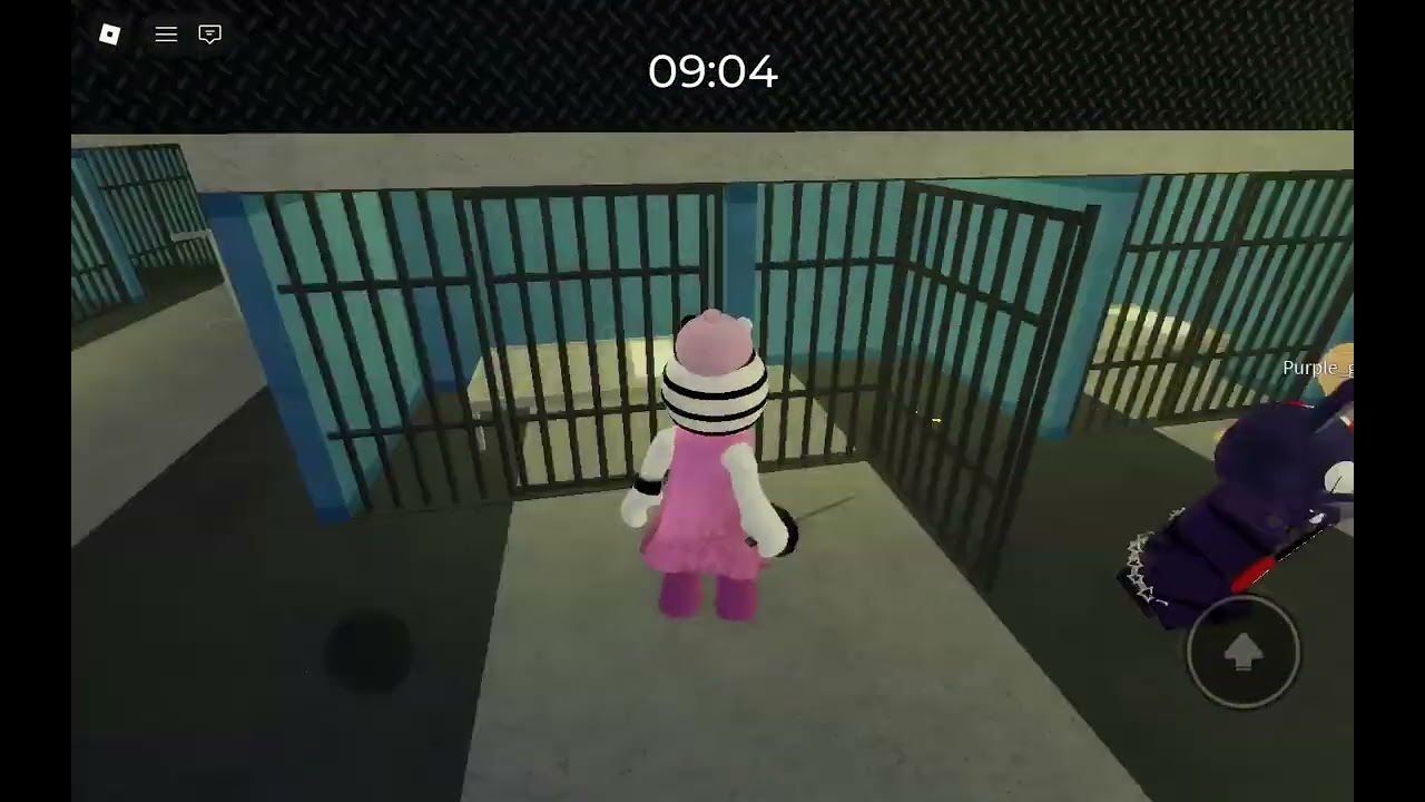 Piggy zizzy (pink) in infection