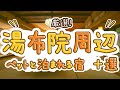 厳選！湯布院周辺のペットと泊まれる宿おすすめ10選！