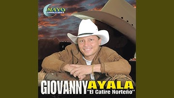 Quién Tuvo la Culpa