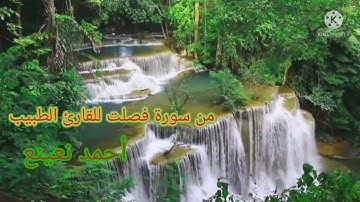 ماتيسر من سورة فصلت للقارئ الطبيب أحمد نعينع