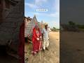 87 साल पुरानी जोड़ी #rajasthani #old #village #lifestyle #desi #culture #viral #shorts
