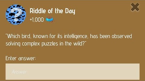 Riddle Of The Day Zoo 19 December | Zoo Riddle Of The Day 19 December | Riddle Of The Day Code Zoo