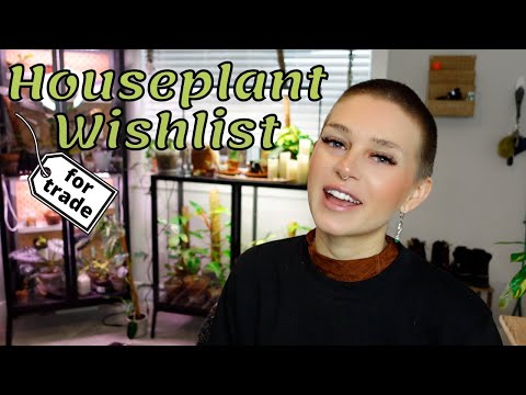 plants I want to trade for in 2022 | houseplant wishlist (common + rare)