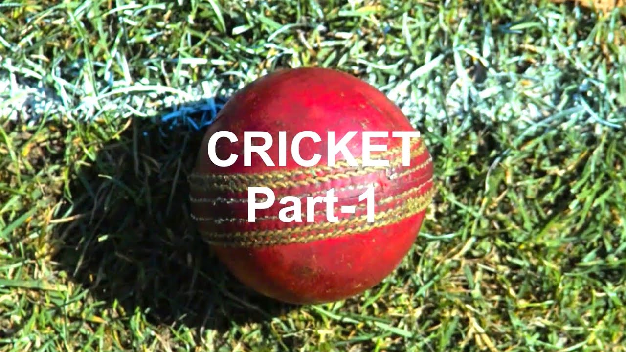 Summer Camp 2020 Cricket Training Youtube