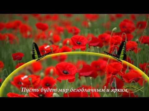 САМОЕ КРАСИВОЕ ПОЗДРАВЛЕНИЕ С ДНЁМ РОЖДЕНИЯ ИЗ МАКОВ!