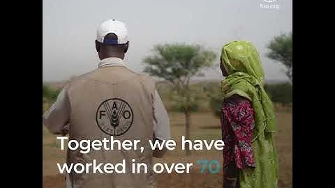 Flexible Multi-Partner Mechanism: Flexible funding to reach the right people at the right time