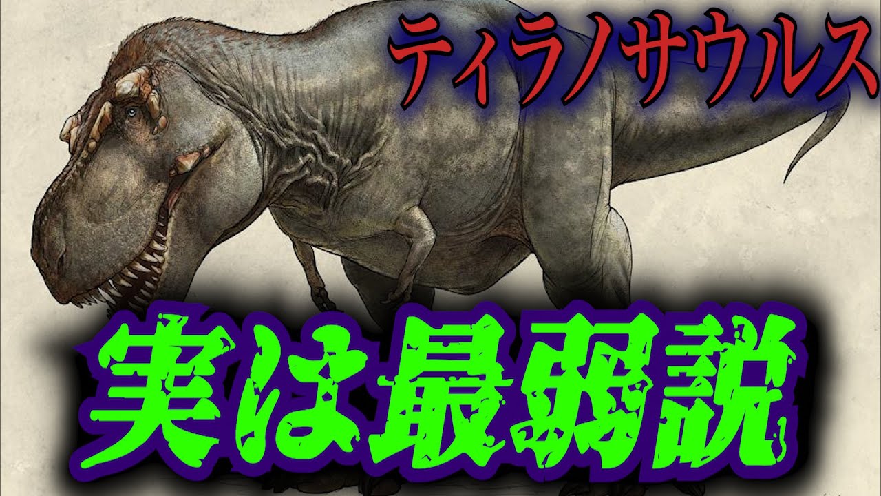 意外にもティラノサウルスは弱かった ティラノサウルス最弱説を解説 キモカワな古代生物 11 Youtube